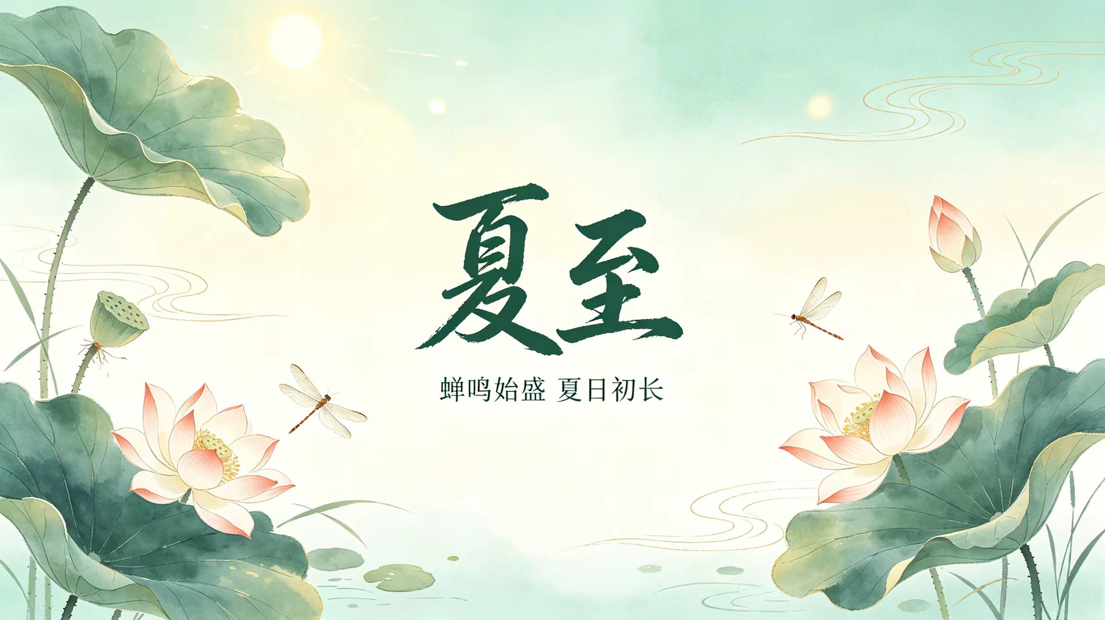 今日夏至