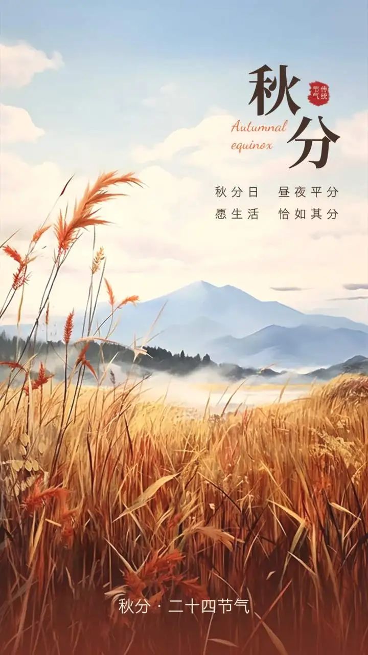 竖版2