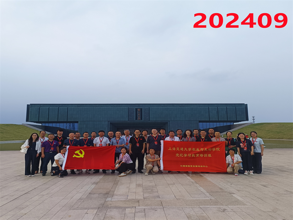 培训掠影207