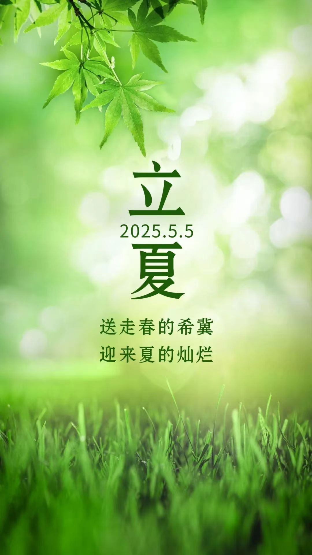 233f236eded217d138dcae00611ef8c