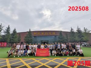 培训掠影247